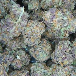 Purple People Eater Cannabis Strain
