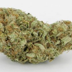 Rockbud Cannabis Strain