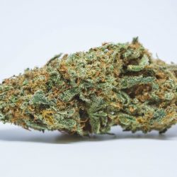 Vortex Cannabis Strain