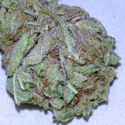 Kushberry Cannabis Strain