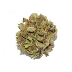 Northern Berry Cannabis Strain