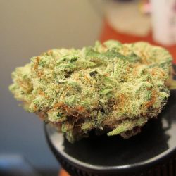 Ogre Berry Cannabis Strain