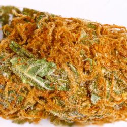 Orange Skunk Cannabis Strain