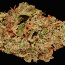 Peppermint Cookies Cannabis Strain