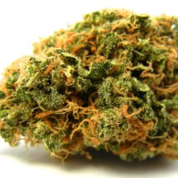 Pineapple Jack Cannabis Strain