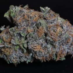 Purple Goo Cannabis Strain