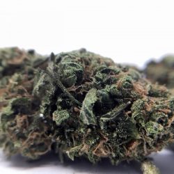 Blue Treat Cannabis Strain
