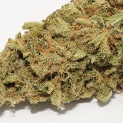 Cheesewreck Cannabis Strain