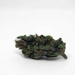 Cherry Bomb Cannabis Strain