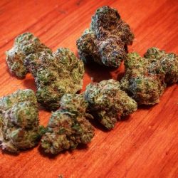 Colorado Bubba Cannabis Strain