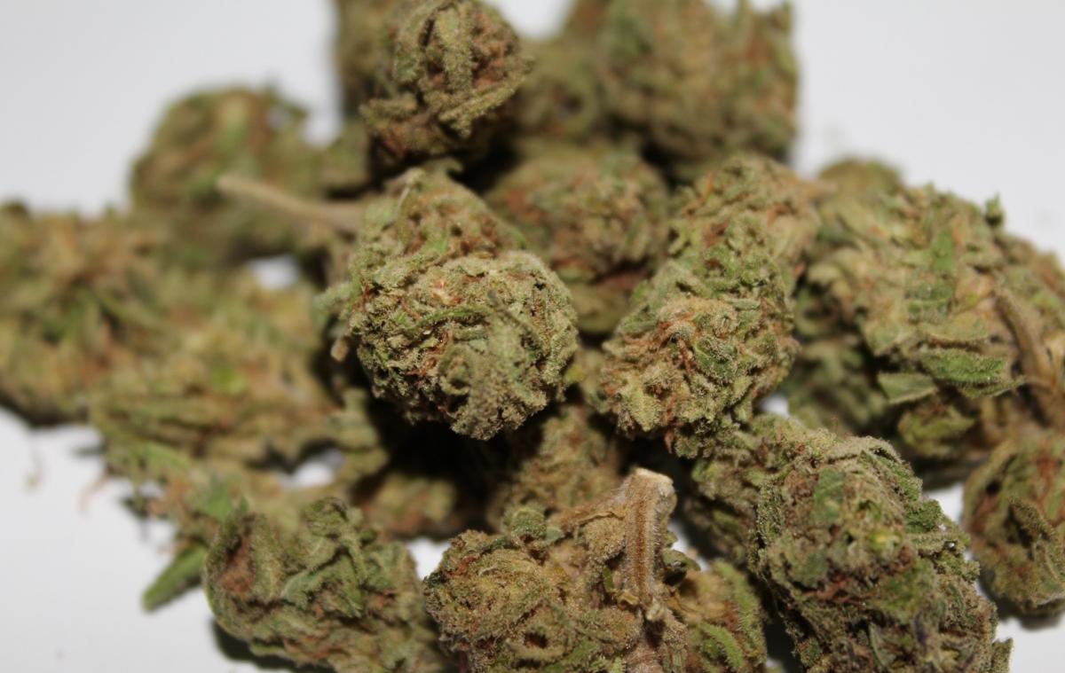 Rumored to originally hail from Maui, this strain will put you in an island...